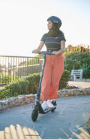 Segway - Ninebot Kickscooter E2 Plus E-Scooter