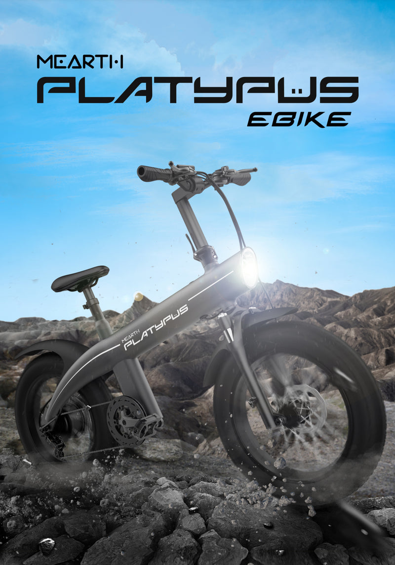 Mearth Platypus - Electric Bike
