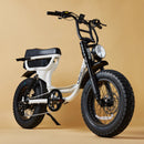 0.86093600 177252421425442672