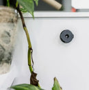 Quad Lock - Adhesive Wall Mount (Twin Pack)