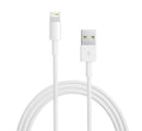 Apple - Lightning to USB A Cable (0.5m)