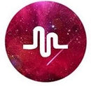 163747039225424529